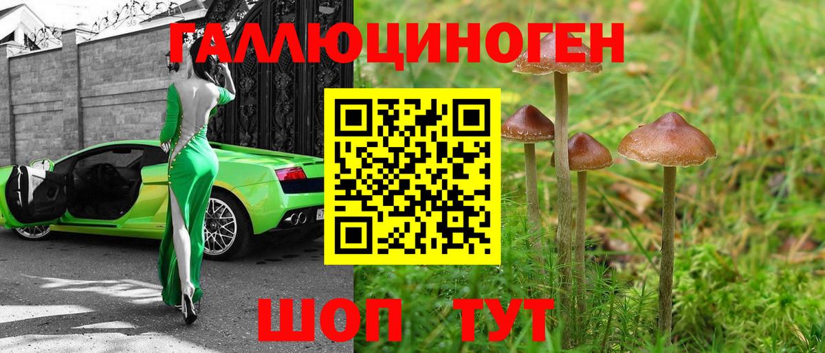 Котовск  Галлюциногенные грибы ЛСД  Вход с VPN 