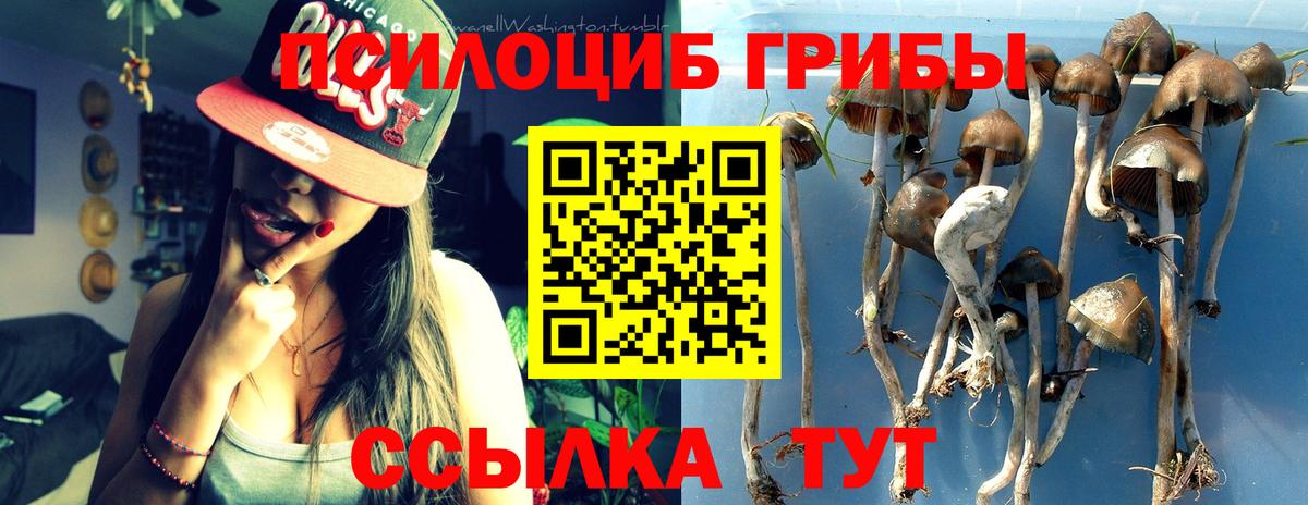 Псилоцибиновые грибы мицелий Котовск